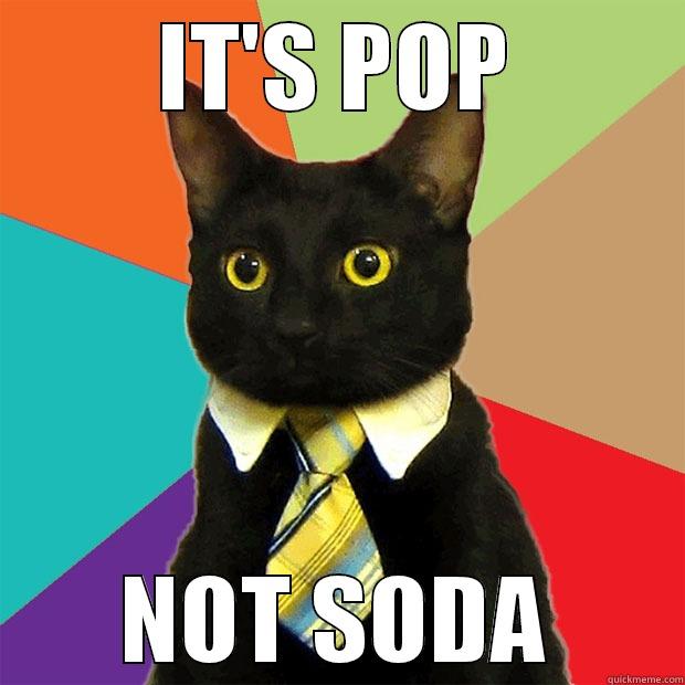 POP, NOT SODA - IT'S POP NOT SODA Business Cat