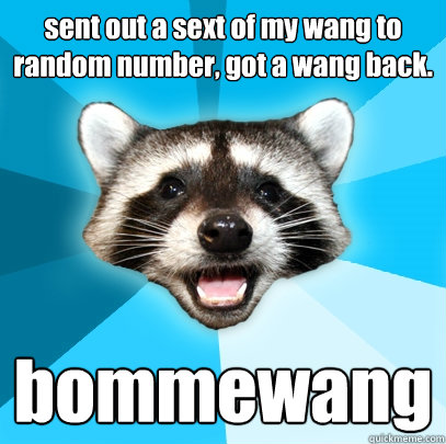 sent out a sext of my wang to random number, got a wang back. bommewang  Lame Pun Coon