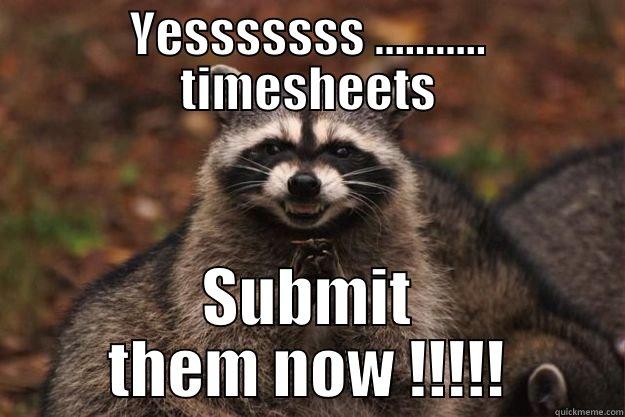 YESSSSSSS ........... TIMESHEETS SUBMIT THEM NOW !!!!! Evil Plotting Raccoon