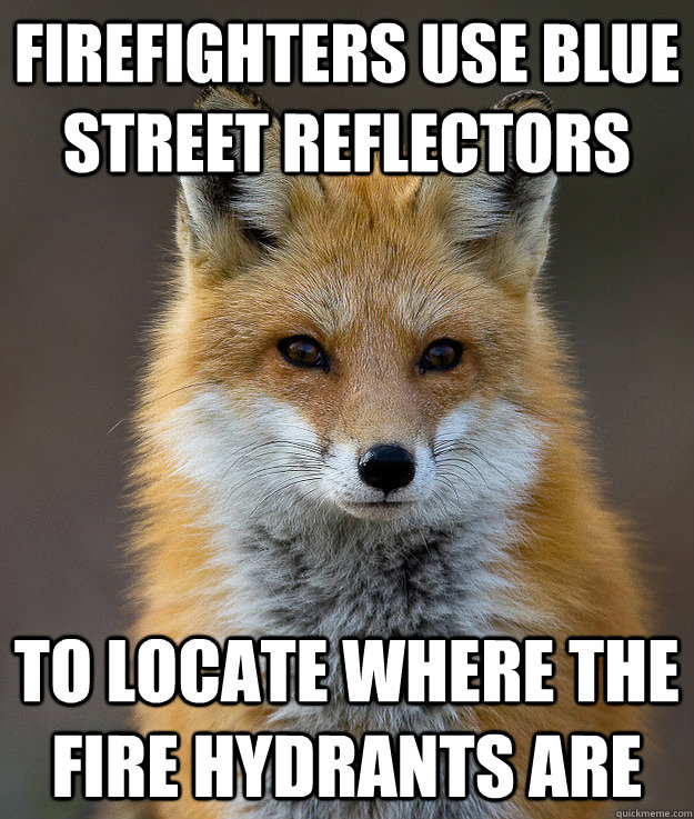 firefighters use blue street reflectors to locate where the fire hydrants are - firefighters use blue street reflectors to locate where the fire hydrants are  Fun Fact Fox