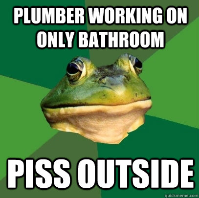 Plumber working on only bathroom piss outside  Foul Bachelor Frog