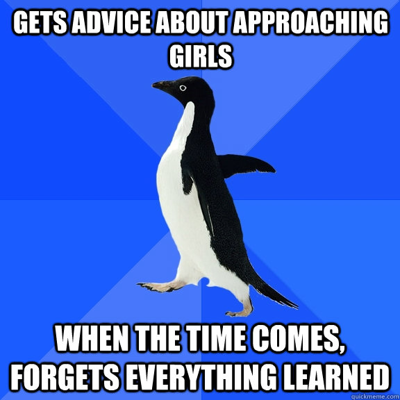 Gets advice about approaching girls when the time comes, forgets everything learned  Socially Awkward Penguin