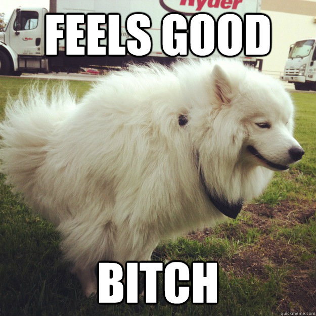 feels good bitch  