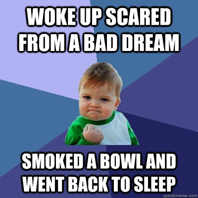 Woke up scared from a bad dream Smoked a bowl and went back to sleep  Success Kid