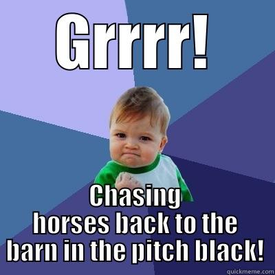 GRRRR! CHASING HORSES BACK TO THE BARN IN THE PITCH BLACK! Success Kid
