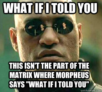 what if i told you this isn't the part of the matrix where morpheus says 