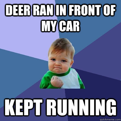 Deer ran in front of my car kept running - Deer ran in front of my car kept running  Success Kid