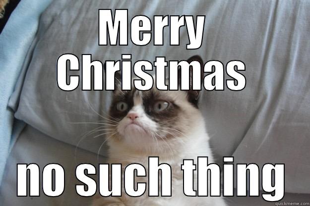 MERRY CHRISTMAS NO SUCH THING Grumpy Cat