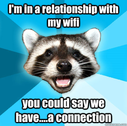 I'm in a relationship with my wifi you could say we have....a connection   Lame Pun Coon