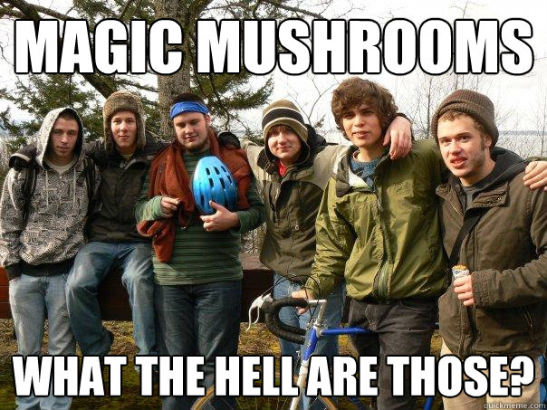 magic mushrooms what the hell are those?  Fungi