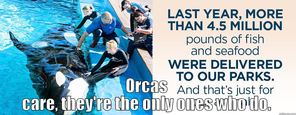  ORCAS CARE, THEY'RE THE ONLY ONES WHO DO. Misc