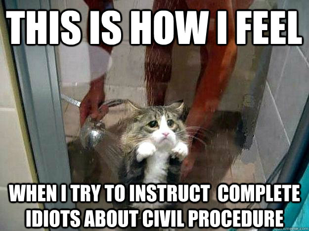 This is how I feel when i try to instruct  complete idiots about civil procedure  Shower kitty