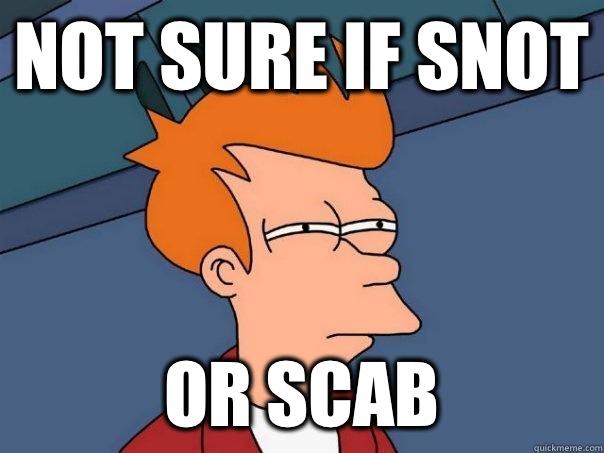 Not sure if snot Or scab  Futurama Fry