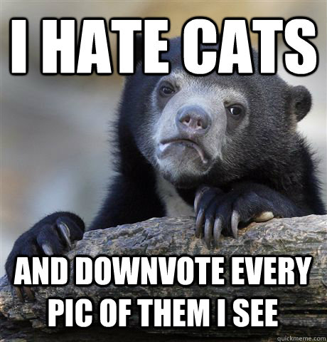 I hate cats and downvote every pic of them i see  Confession Bear
