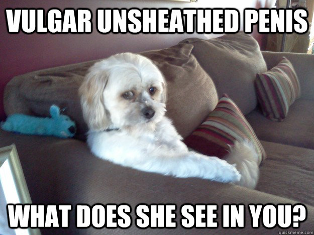 vulgar unsheathed penis what does she see in you?  Worry Mutt