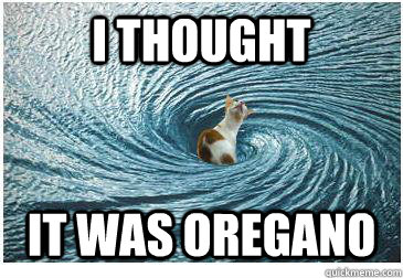 i thought it was oregano  Goodbye Cat