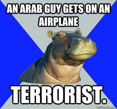 An Arab guy gets on an airplane  Terrorist.   Skeptical Hippo