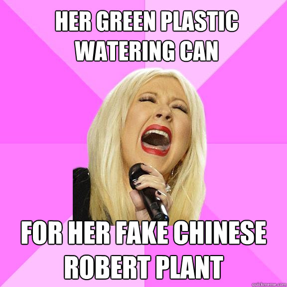her green plastic watering can for her fake chinese robert plant  Wrong Lyrics Christina