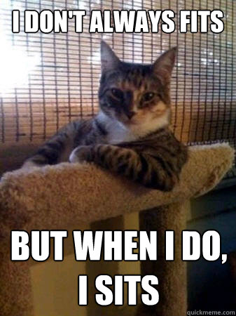 I don't always fits but when i do, i sits  The Most Interesting Cat in the World