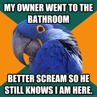 My owner went to the bathroom better scream so he still knows I am here.  Paranoid Parrot