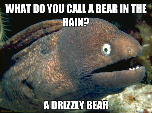 What do you call a bear in the rain? A Drizzly Bear  Bad Joke Eel
