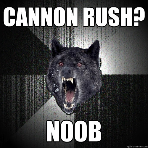 Cannon rush? n00b  Insanity Wolf