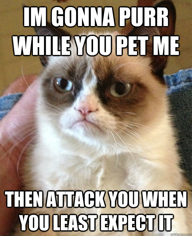 im gonna purr while you pet me then attack you when you least expect it   Grumpy Cat