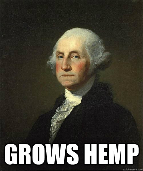  grows hemp -  grows hemp  Good Guy George