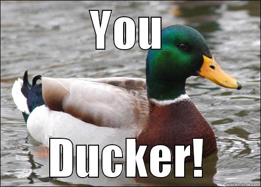 YOU DUCKER! Actual Advice Mallard