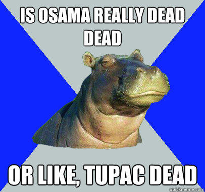 Is osama really dead dead or like, tupac dead - Is osama really dead dead or like, tupac dead  Skeptical Hippo