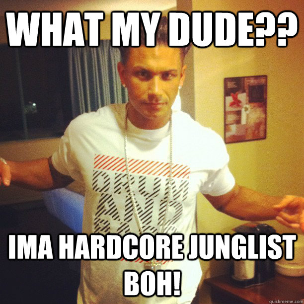 what my dude?? ima hardcore junglist boh! - what my dude?? ima hardcore junglist boh!  Drum and Bass Guy