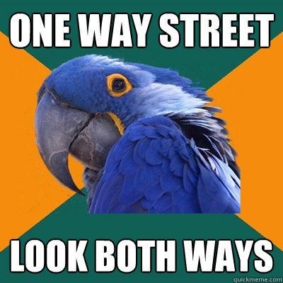 One Way Street look both ways  Paranoid Parrot
