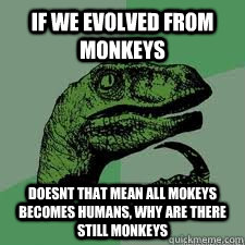 If we evolved from monkeys doesnt that mean all mokeys becomes humans, why are there still monkeys  Dinosaur