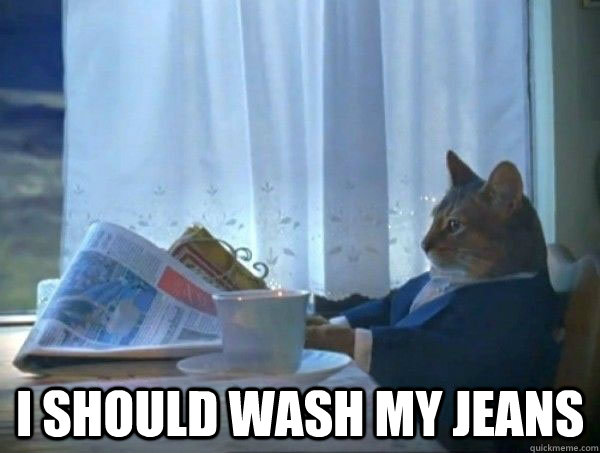  I should wash my jeans -  I should wash my jeans  morning realization newspaper cat meme