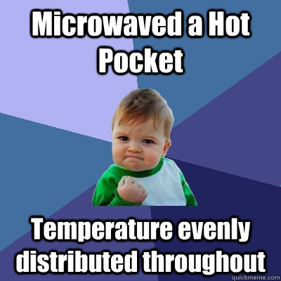 Microwaved a Hot Pocket Temperature evenly distributed throughout - Microwaved a Hot Pocket Temperature evenly distributed throughout  Success Kid