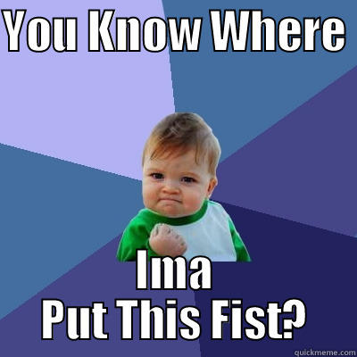 YOU KNOW WHERE  IMA PUT THIS FIST? Success Kid