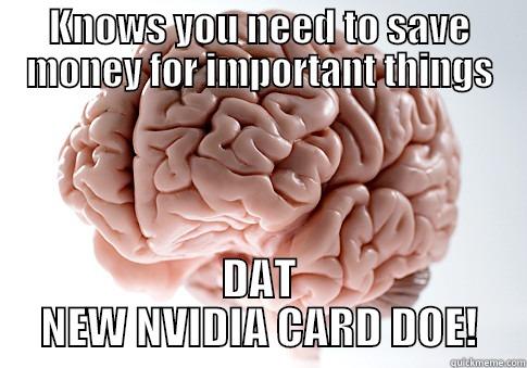 KNOWS YOU NEED TO SAVE MONEY FOR IMPORTANT THINGS DAT NEW NVIDIA CARD DOE! Scumbag Brain