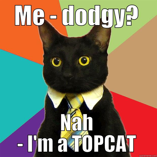ME - DODGY? NAH - I'M A TOPCAT Business Cat