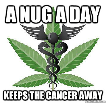 A nug a day  keeps the cancer away  Medical Marijuana