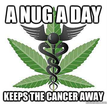 A nug a day  keeps the cancer away - A nug a day  keeps the cancer away  Medical Marijuana