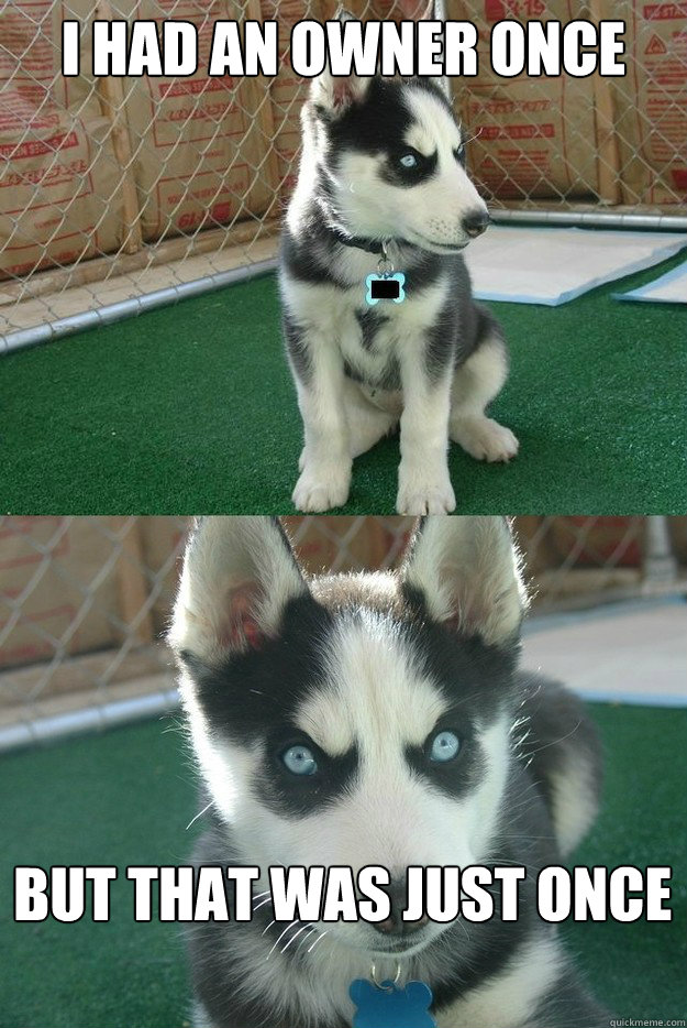 i had an owner once but that was just once  Insanity puppy