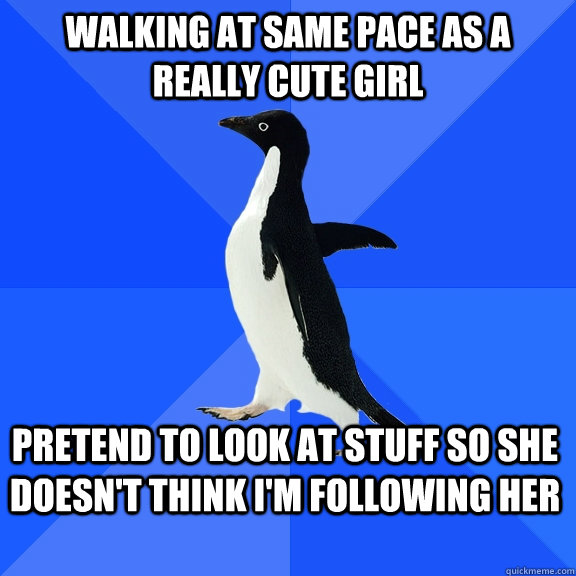 walking at same pace as a really cute girl pretend to look at stuff so she doesn't think i'm following her - walking at same pace as a really cute girl pretend to look at stuff so she doesn't think i'm following her  Socially Awkward Penguin