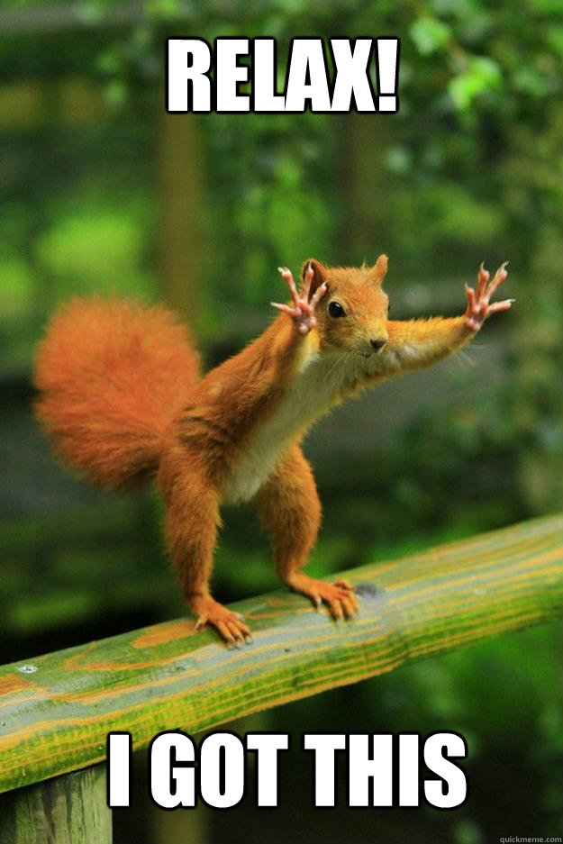 Relax! I got this - Relax! I got this  Red squirrel