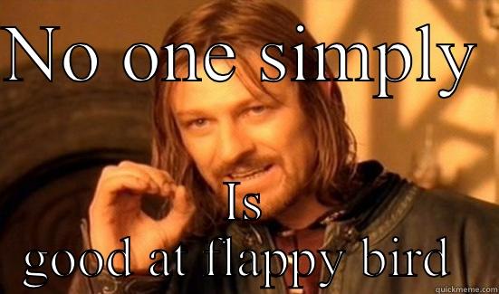 NO ONE SIMPLY  IS GOOD AT FLAPPY BIRD  Boromir
