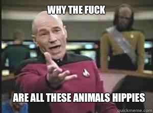 why the fuck Are all these animals hippies  Annoyed Picard