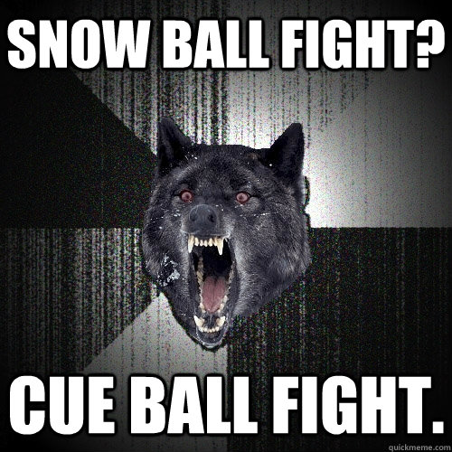 Snow Ball Fight? Cue ball fight.  Insanity Wolf