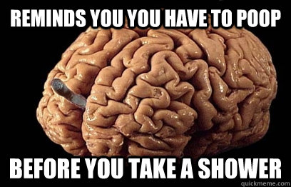 Reminds you you have to poop BEFORE you take a shower  Good Guy Brain