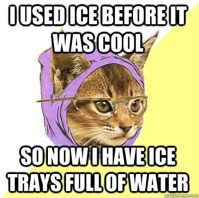 I used ice before it was cool so now i have ice trays full of water  Hipster Kitty