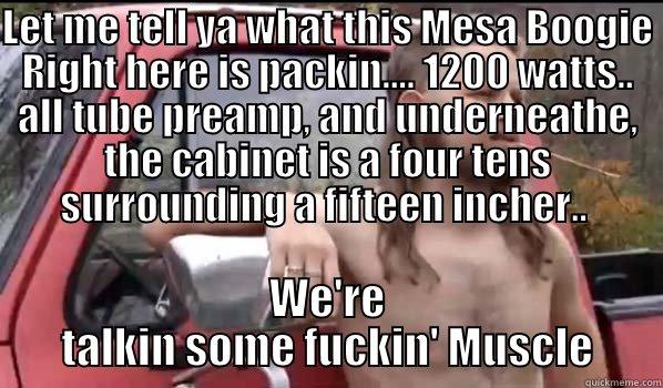  WE'RE TALKIN SOME FUCKIN' MUSCLE Almost Politically Correct Redneck