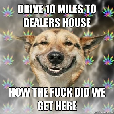 drive 10 miles to dealers house how the fuck did we get here  Stoner Dog